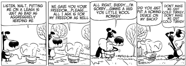 lostsheep